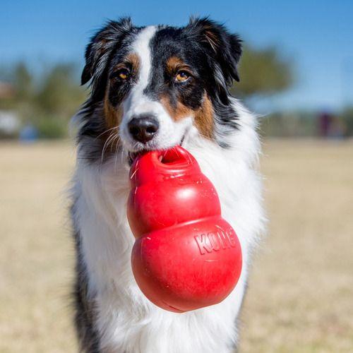 Kong Bounzer Juguete Para Mascotas Perro Grande Color Rojo-2