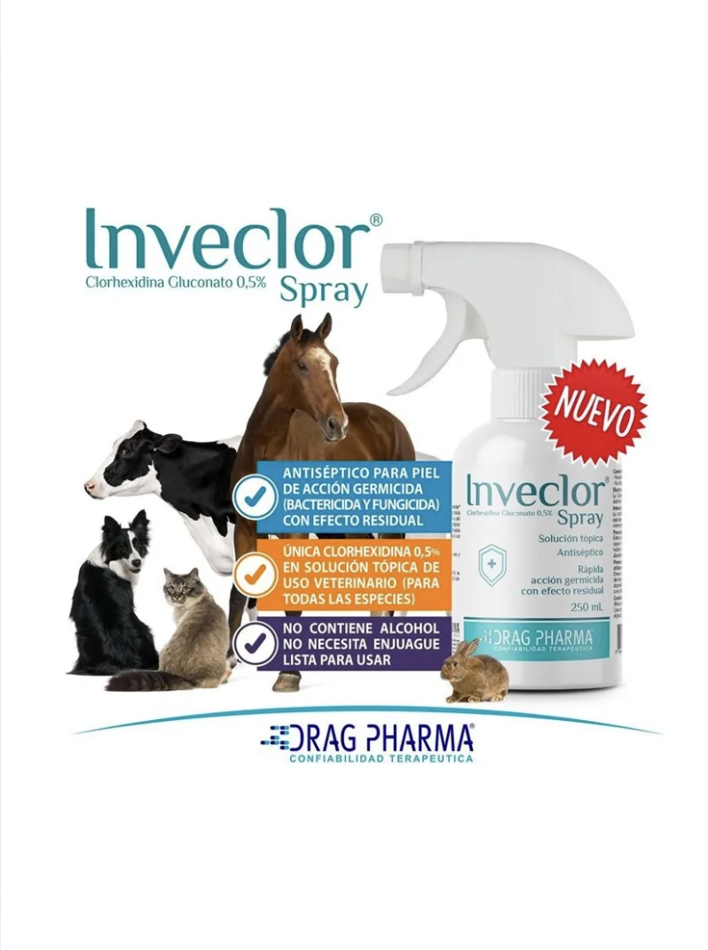 Inveclor Spray Solución Tópica Antiséptica 250ml Perro Gato-2