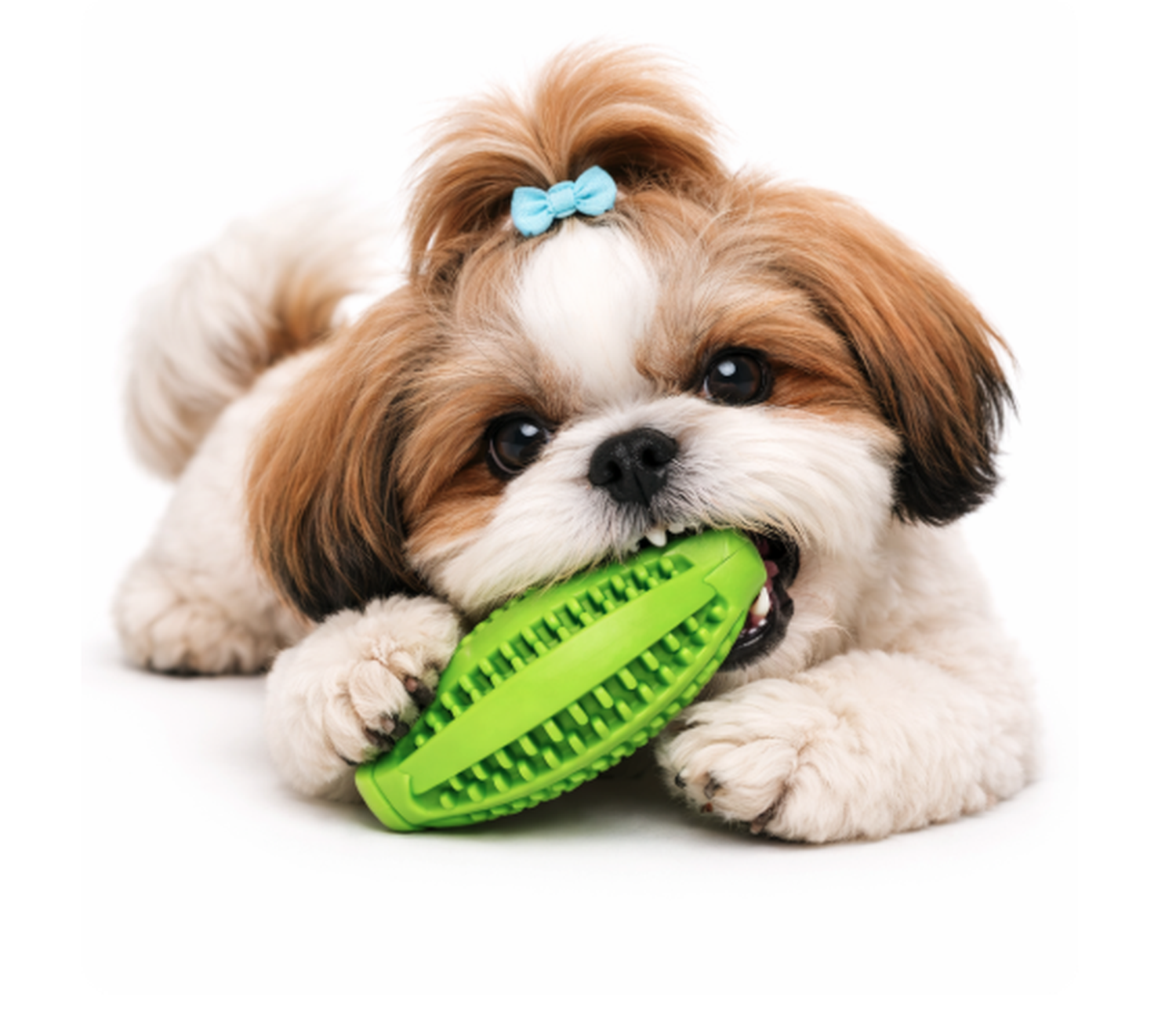 Set 8 Juguetes Para Mascotas Resistencia Y Salud Dental-3