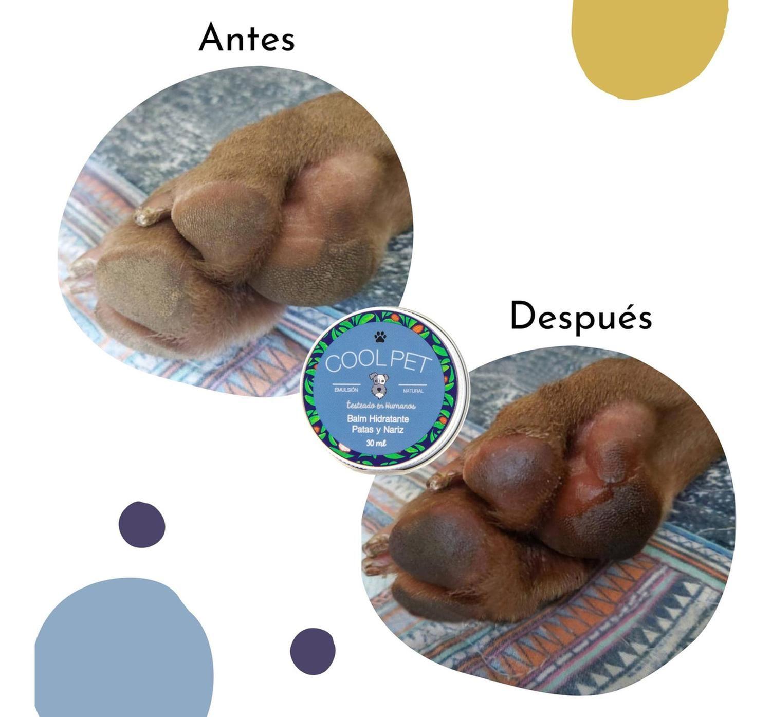 Balm Hidratante Karité Coolpet Para Mascotas Perro Gato 60ml-3