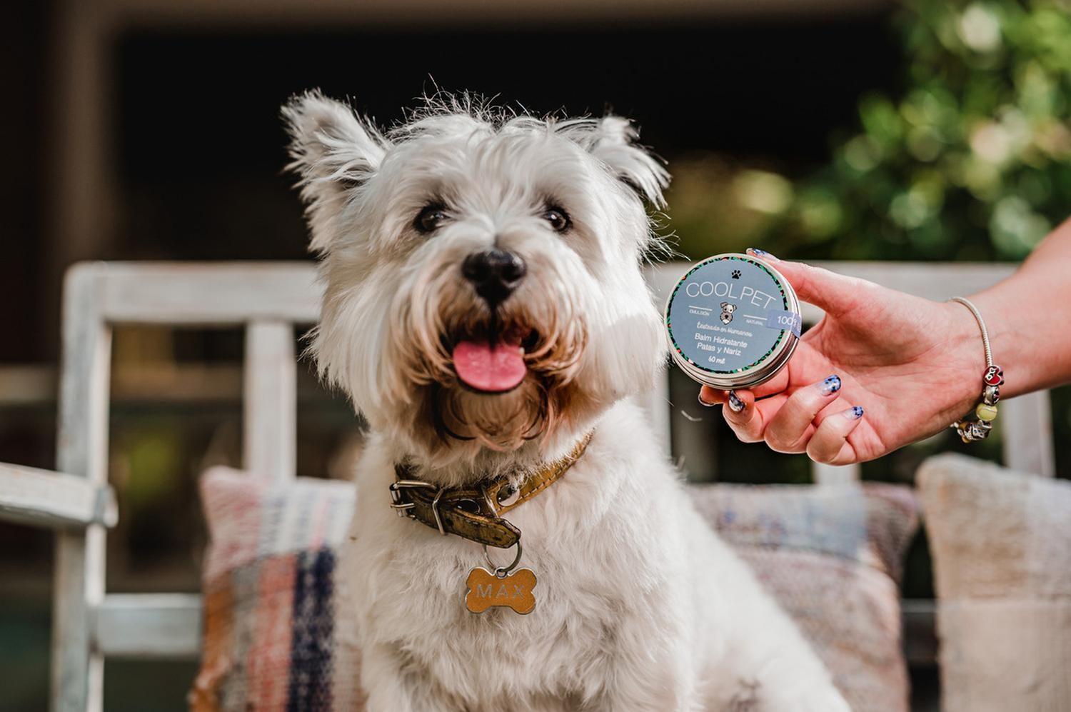 Balm Hidratante Karité Coolpet Para Mascotas Perro Gato 60ml-5