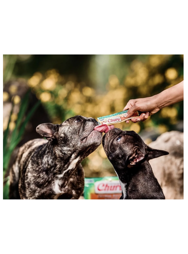 Snack Para Mascotas Churu Perros Premios 14g X 4 Tubos (56g) - POLLO-1