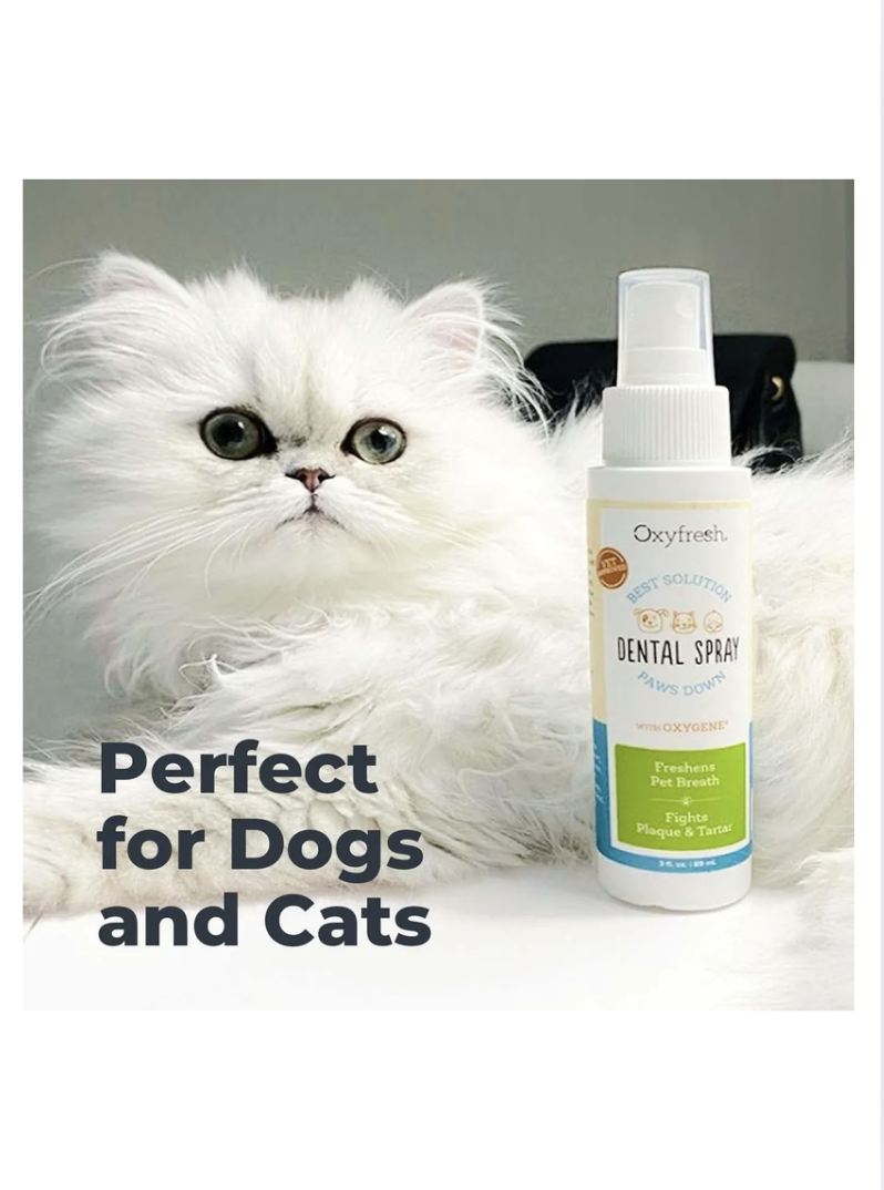 Oxyfresh Spray Cuidado Dental Para Mascotas Perro Gato 89ml - SIN SABOR-2