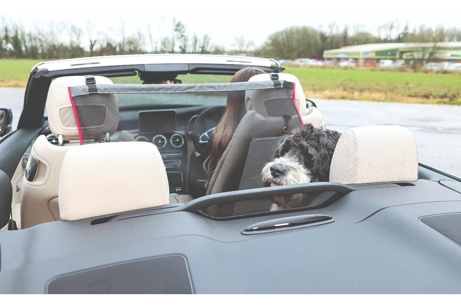 Kong Barrera Protectora De Asiento Para Auto Perros Y Gatos-7