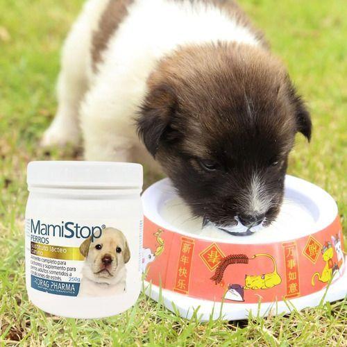 Drag Pharma Mamistop Perros Sustituto Lácteo Canino 250g-2