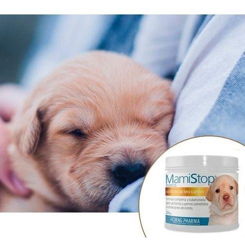 Drag Pharma Mamistop Perros Sustituto Lácteo Canino 250g-3