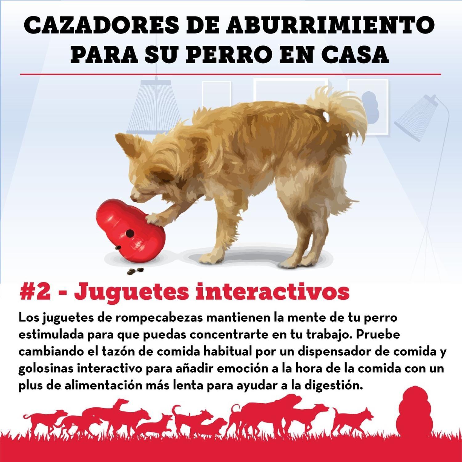 Juguete Kong Interactivo Wobbler Talla S Para Perro Max 12kg Rojo-4