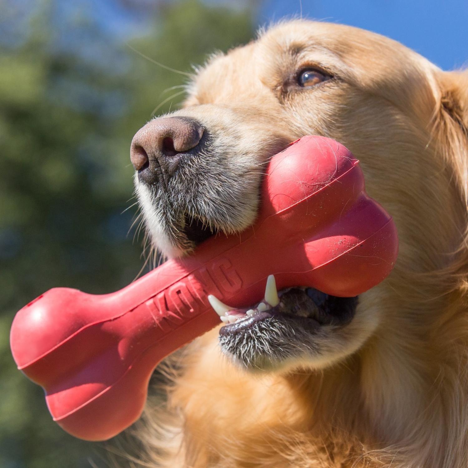 Kong Goodie Bone Hueso Rellenable Juguete Para Perro Talla L - ROJO-2