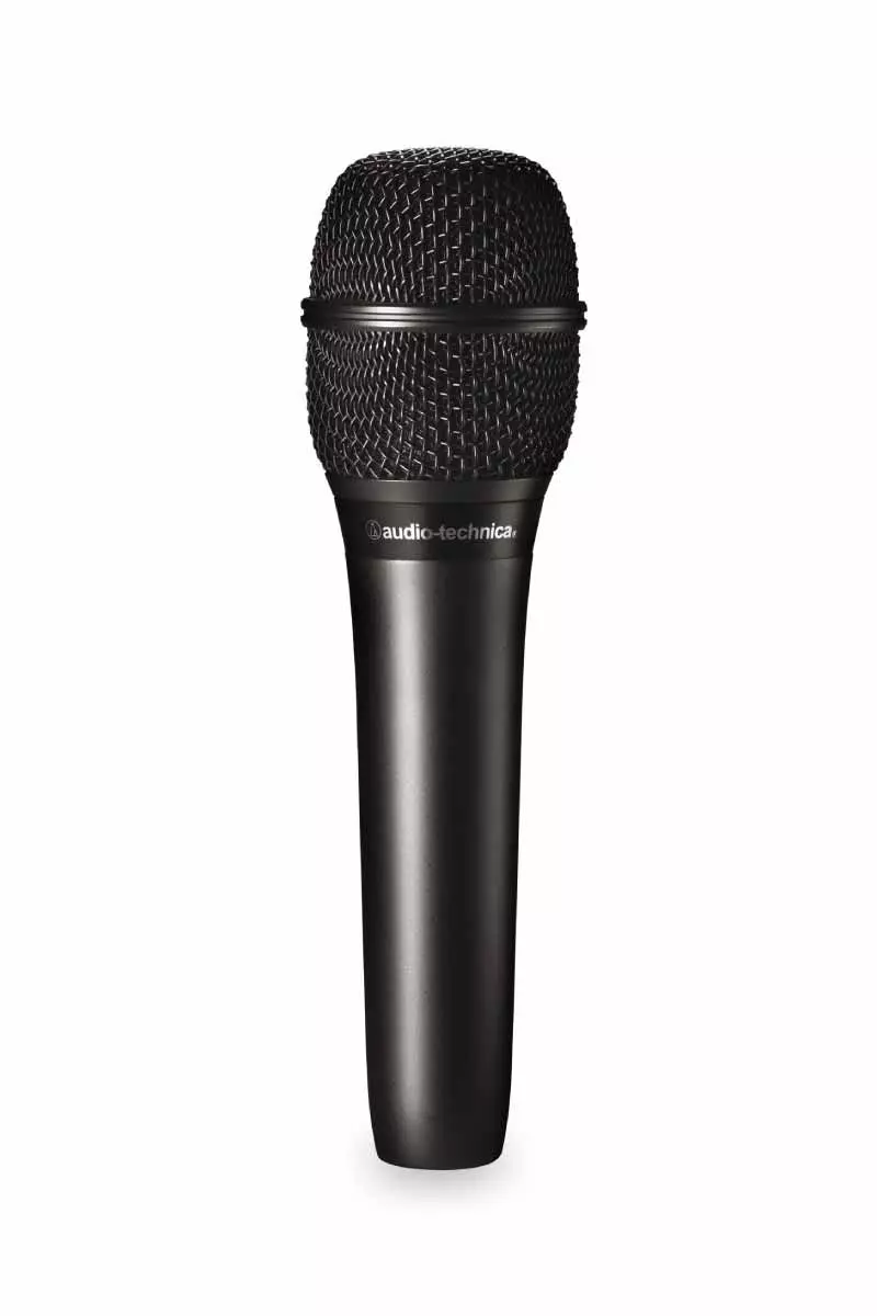 Micrófono Audiotechnica Condensador Cardioide De Mano At2010-0