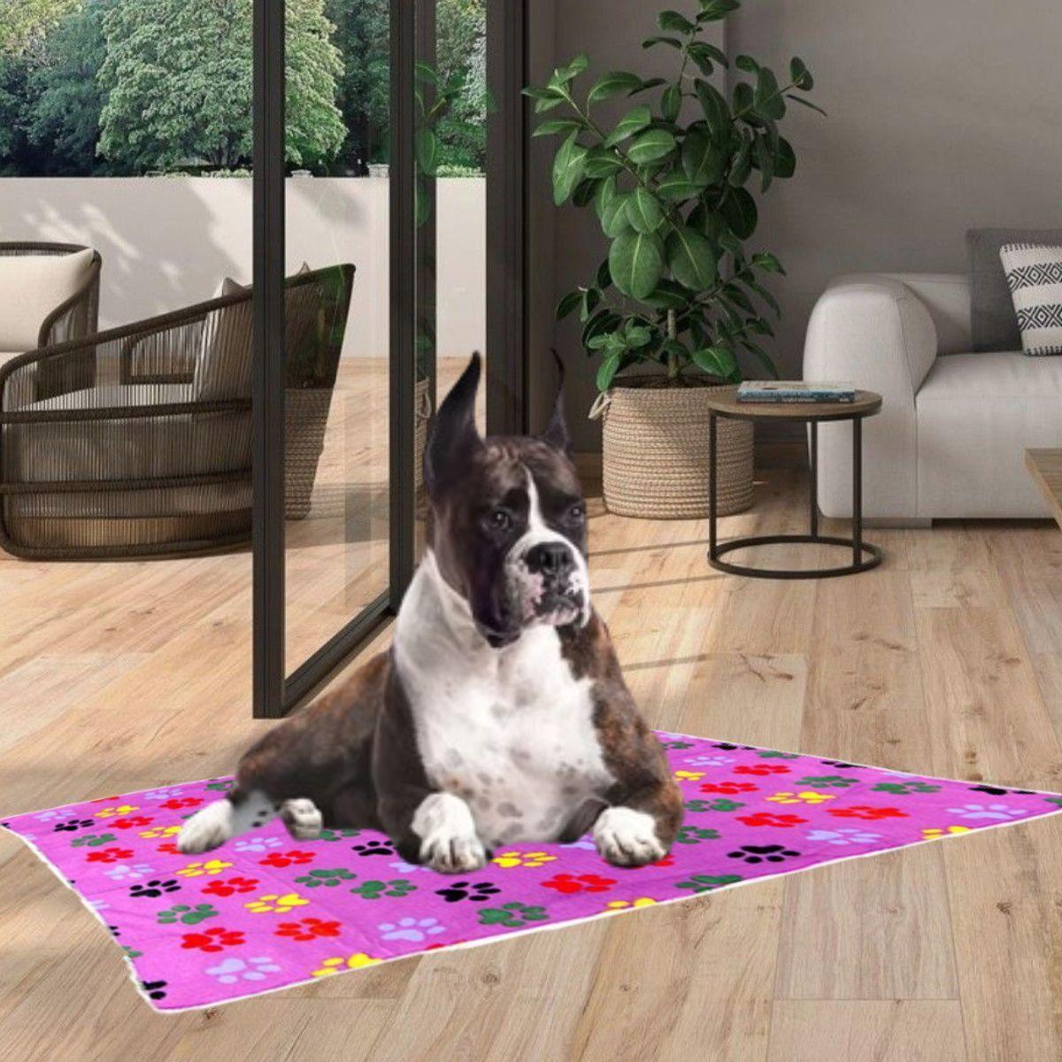 SET 3 MANTA POLAR PARA MASCOTAS 120X90 ABRIGO SUAVE LAU-4