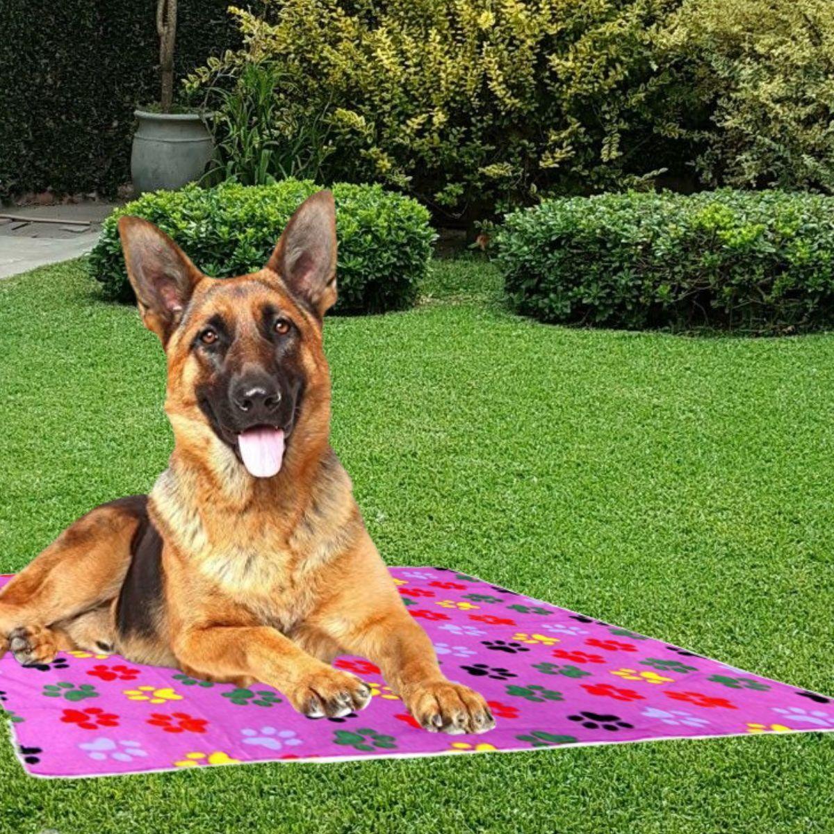 SET 3 MANTA POLAR PARA MASCOTAS 120X90 ABRIGO SUAVE LAU-8