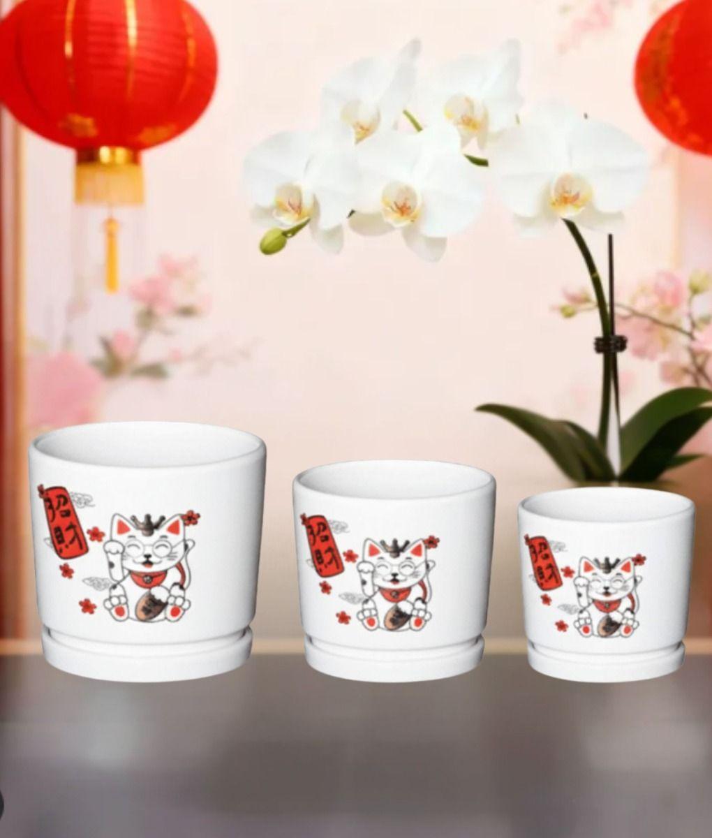 Set 3 Macetero Decorativo Diseño Gato Suerte Armonía Jhn-4