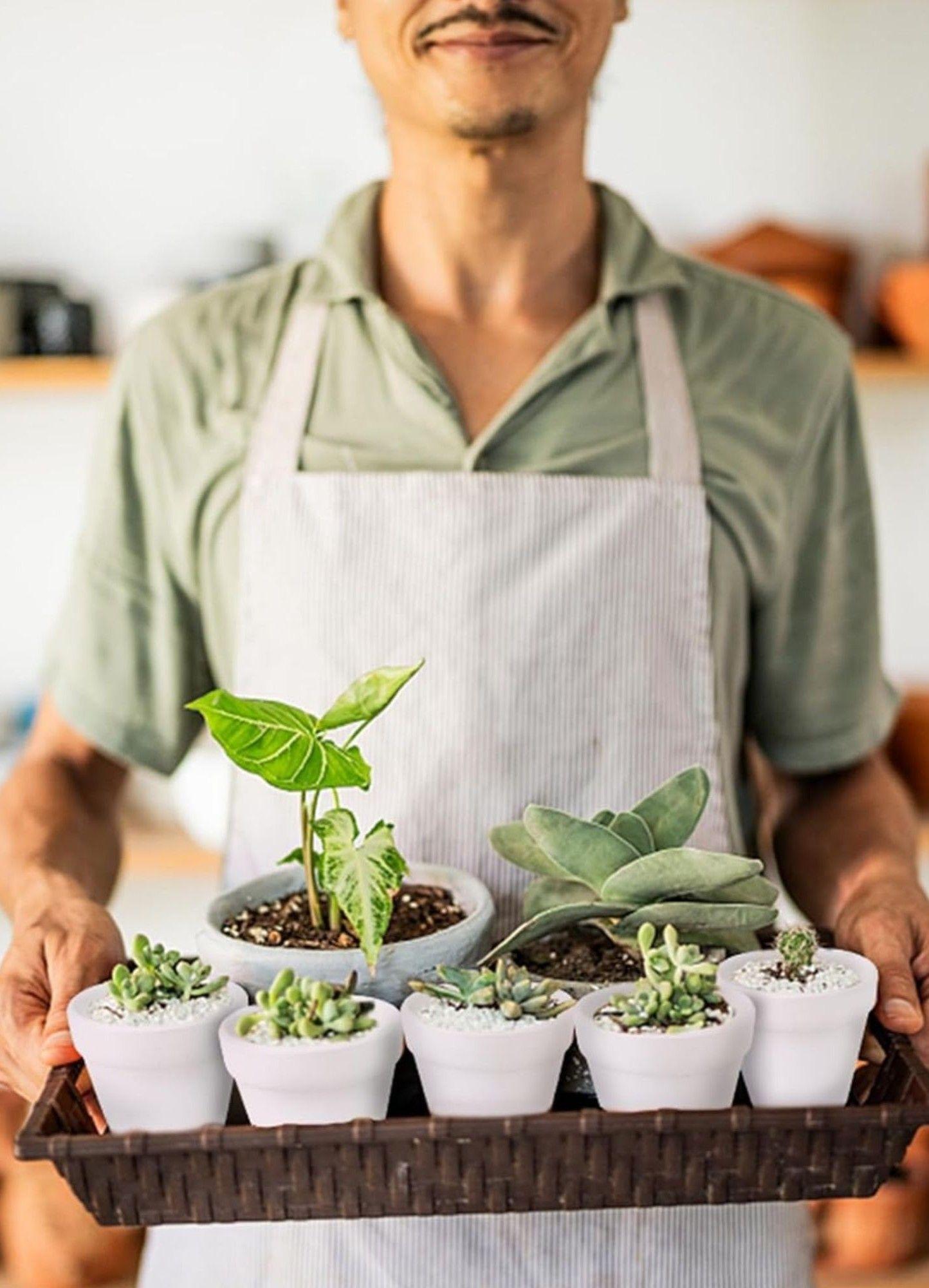 Set 6 Macetero Mini Suculentas Jardinería Cultivo Jhn-3