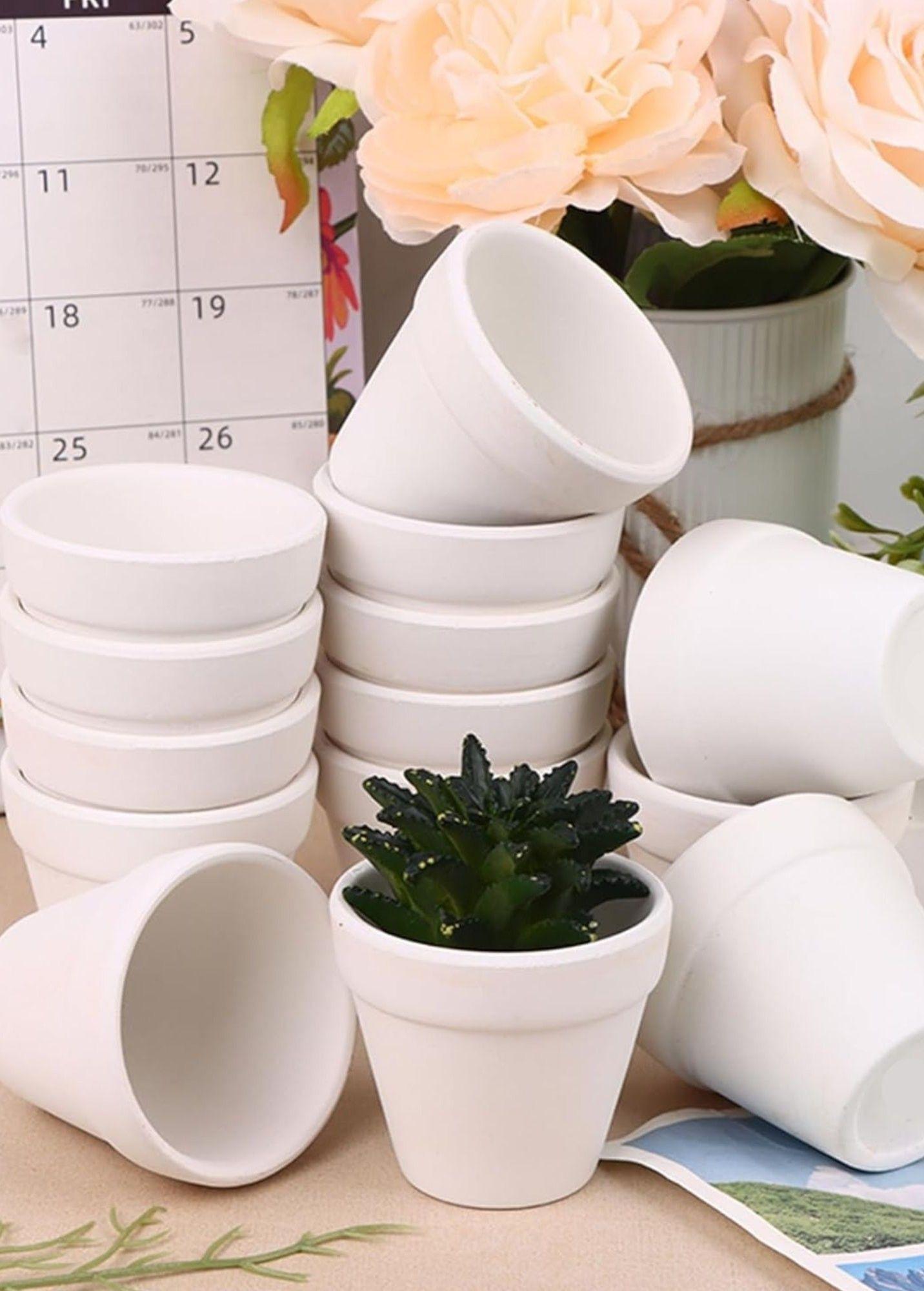 Set 6 Macetero Mini Suculentas Jardinería Cultivo Jhn-4