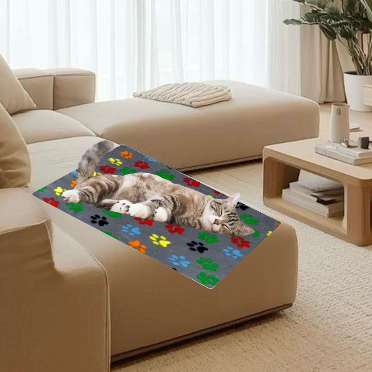 SET 3 MANTAS POLAR TERMICA PARA MASCOTAS 100X70CM LAU-5