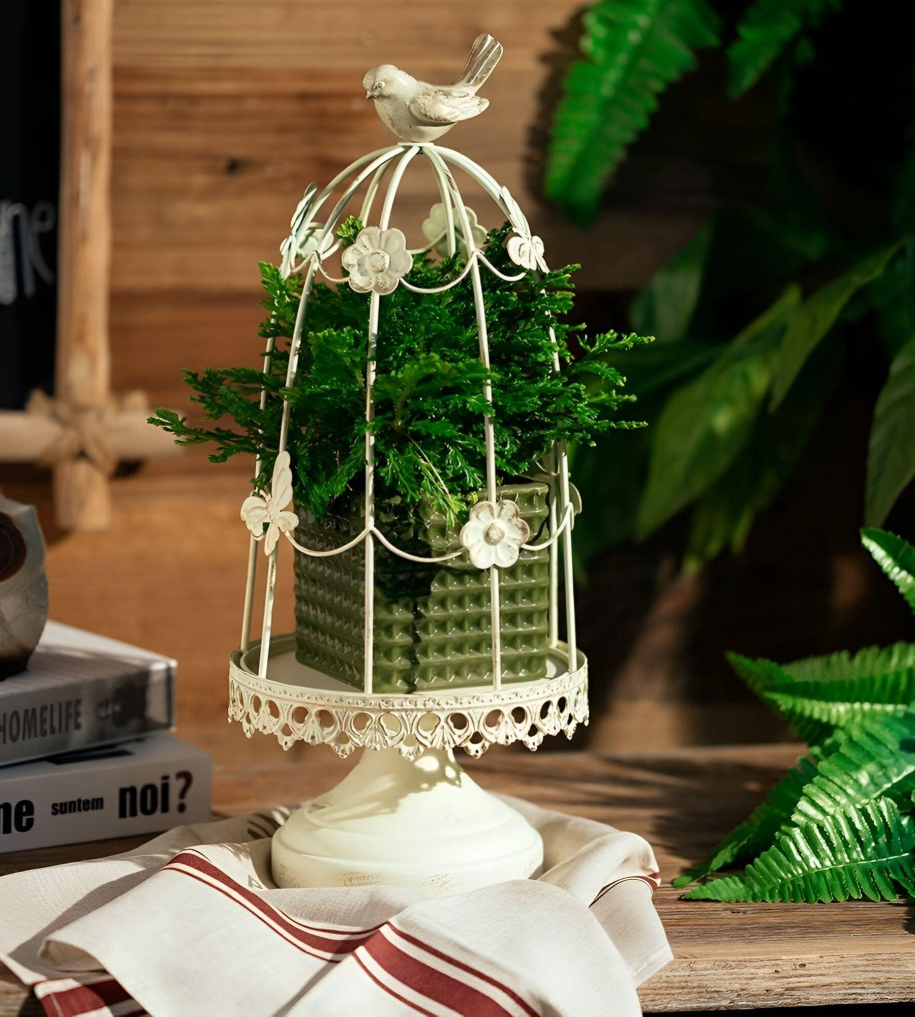 Portavelas Jaula Pájaros Multifunción Decorativo 38cm Jhn-2