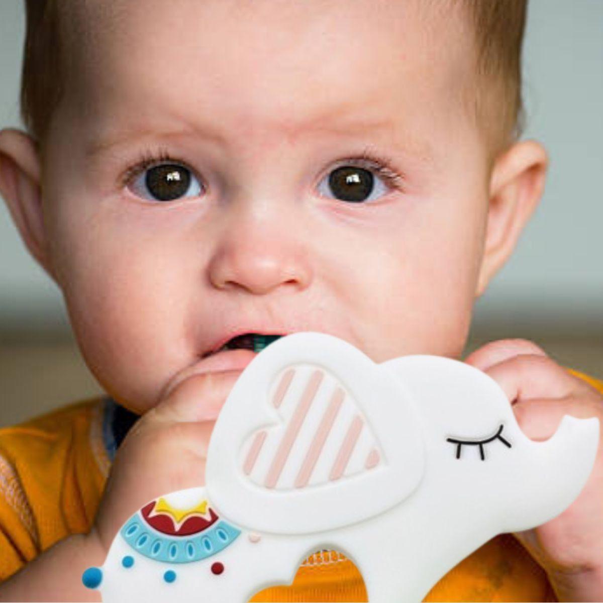 SET 3 MORDEDORES FORMA DE ANIMAL SUAVE DIVERTIDO BEBE LAU-8