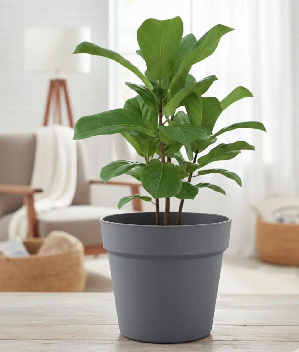 Set 2 Macetero Decorativo Diseño Cilíndrico Moderno Jhn-5