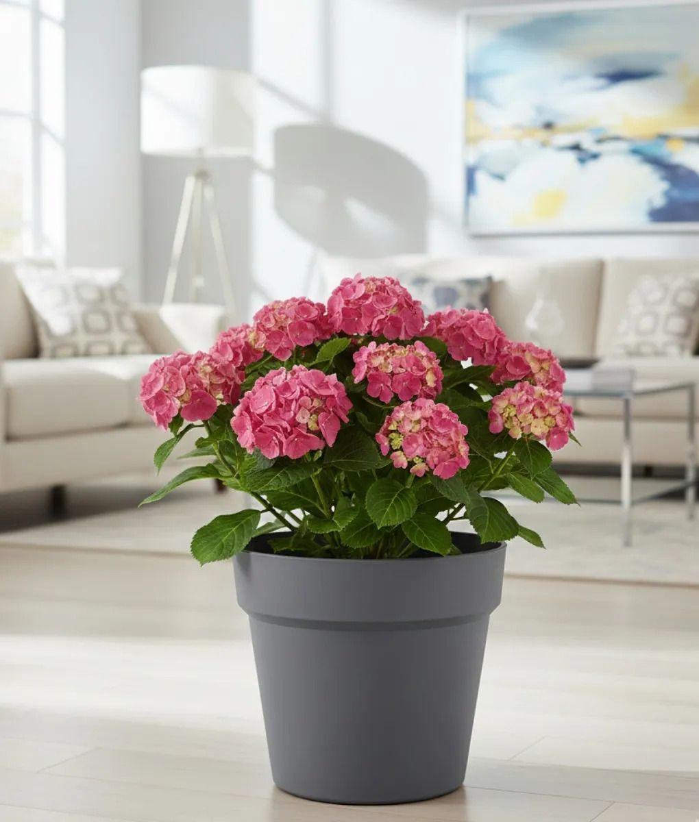 Set 2 Macetero Decorativo Diseño Cilíndrico Moderno Jhn-6