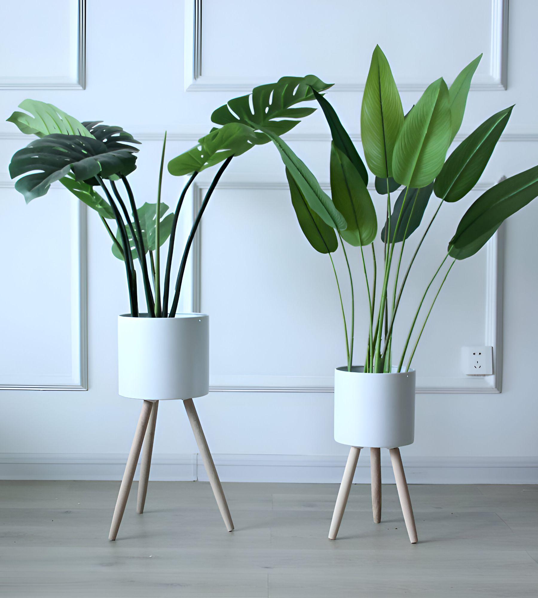 Set Macetas Planta Patas Interior Exterior Flores Blanca Jhn-5