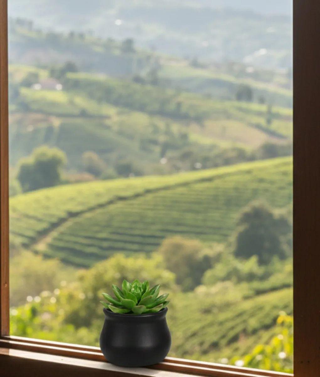 Set 7 Macetero Decorativo Moderno Diseño Curvo Versátil Jhn-8