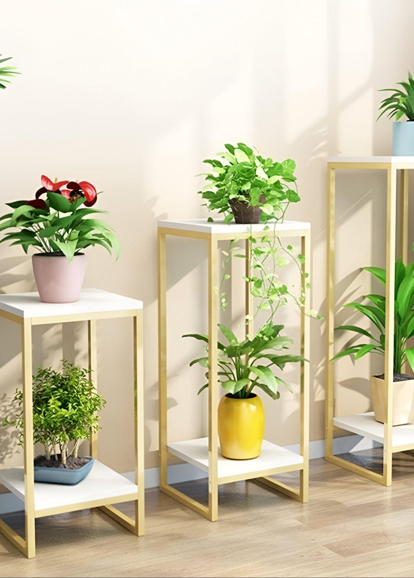 Porta Maceta Soporte Exhibición Plantas 2 Niveles 80cm Jhn-5