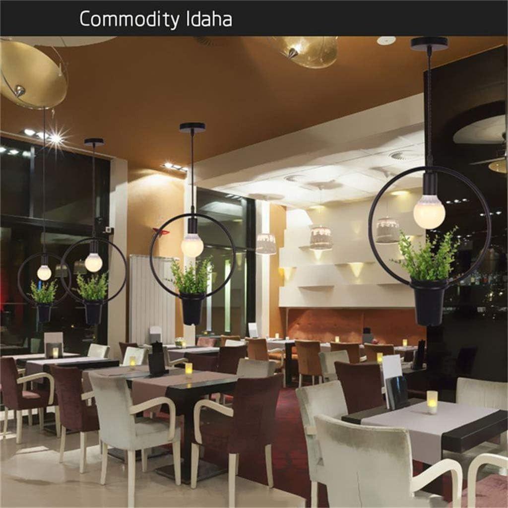 Lámpara Colgante Moderna Plantas Creativo Jardin Hogar Lau-5