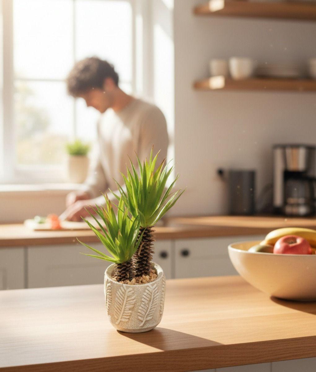 Planta Artificial Decorativa Adorno Hogar Macetero Jhn-6