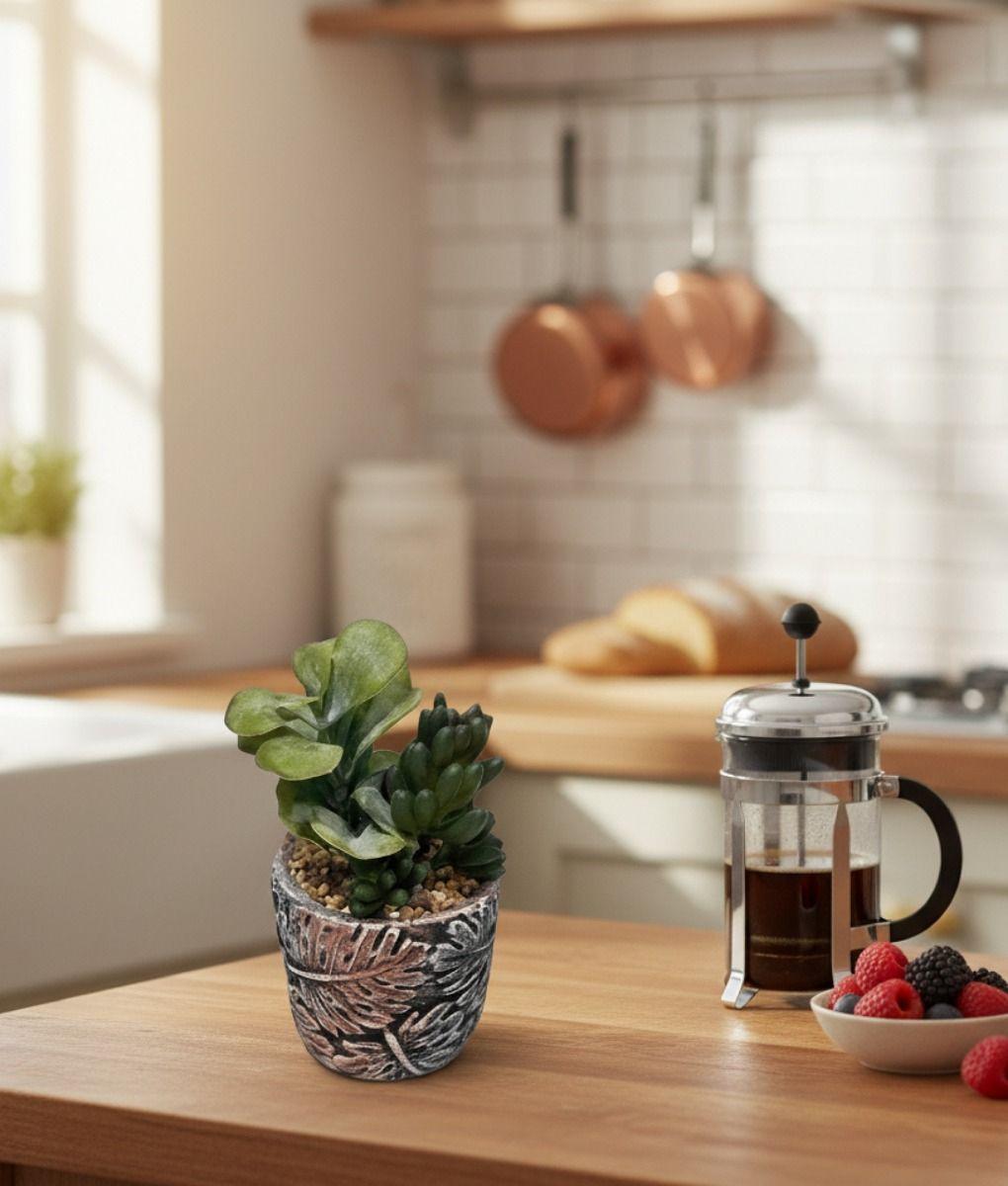 Set 2 Planta Decorativa Suculenta Adorno Hogar Jhn-7