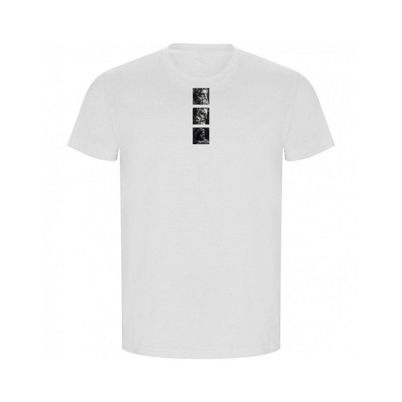Polera urbana -1