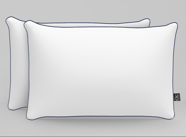 PACK 2 ALMOHADAS DE PLUMAS 50X70 CIC-1