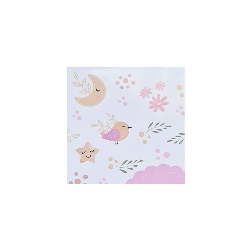 Libreta Pediátrica Rosa Pajaritos-4