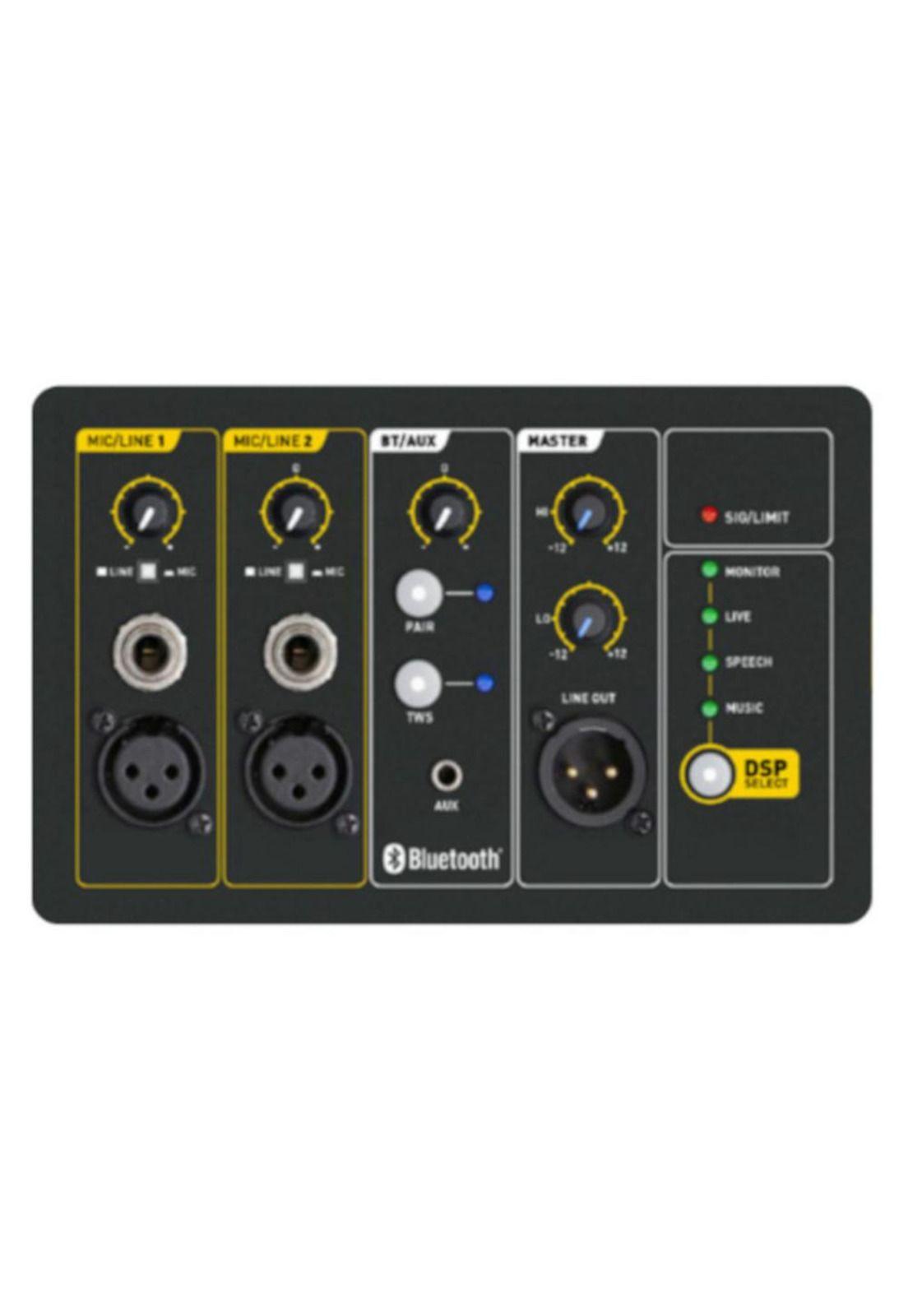 Caja Activa 10 pulgadas SKP Q10 MK2-2