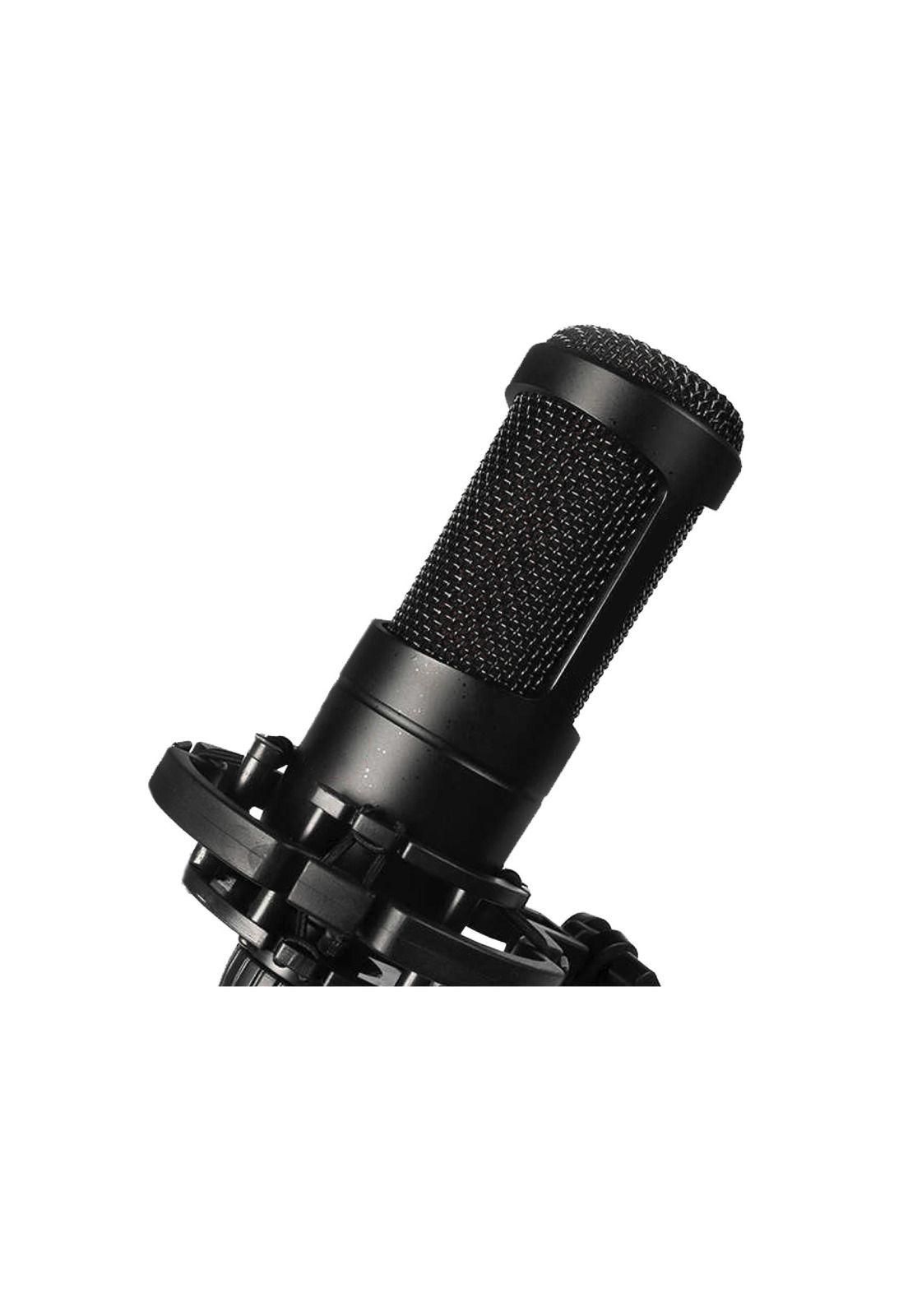 Microfono Condensador audiopro AP02039-1