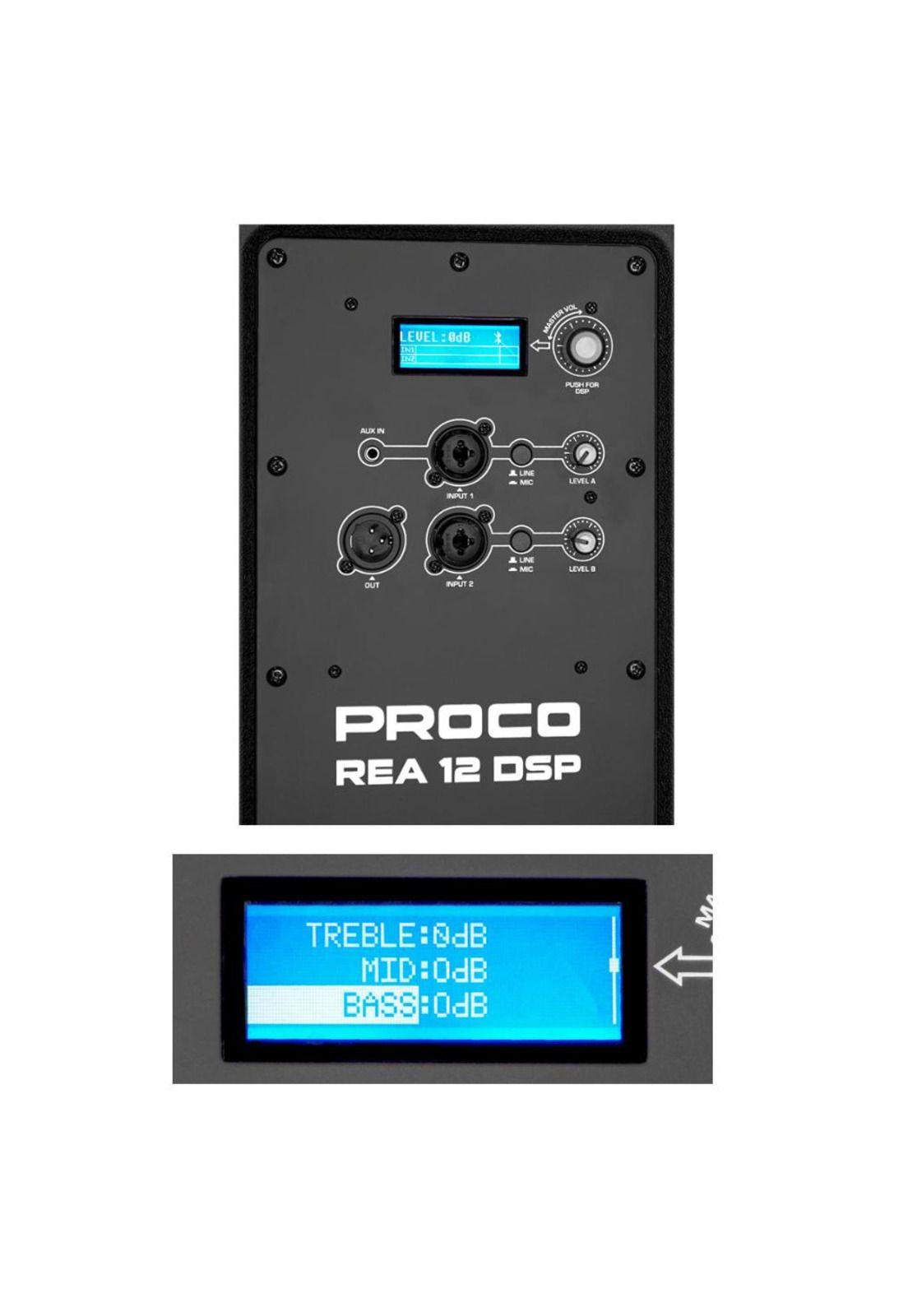 Caja Activa 12" Proco REA 12 DSP-3