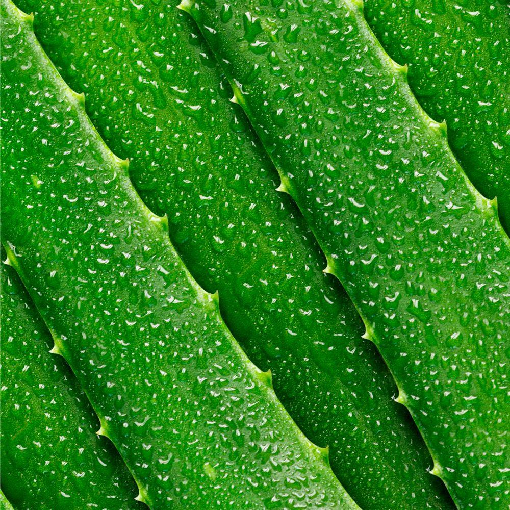Tónico Facial de Aloe Vera-2