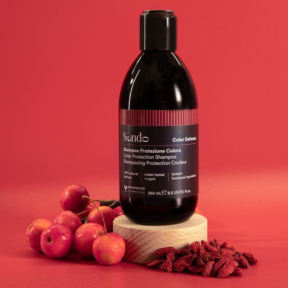 Shampoo Protección Color 250ml-2