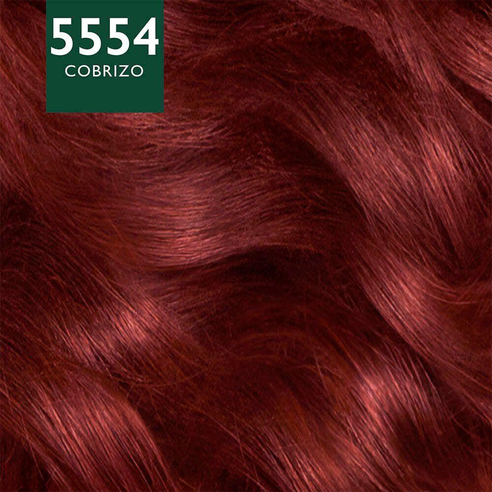 Kit Tintura Semipermanente 5554 Cobrizo Soft Color-3