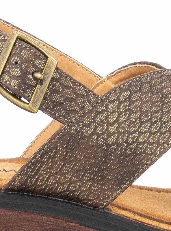 SANDALIA MUJER CASUAL NEW WALK 168-3-40 (35-40) | Cafe |-3