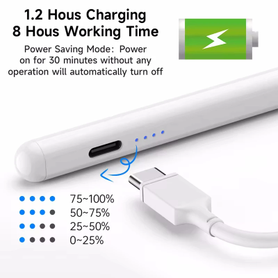 Lapiz Pencil Stylus Para iPad-2