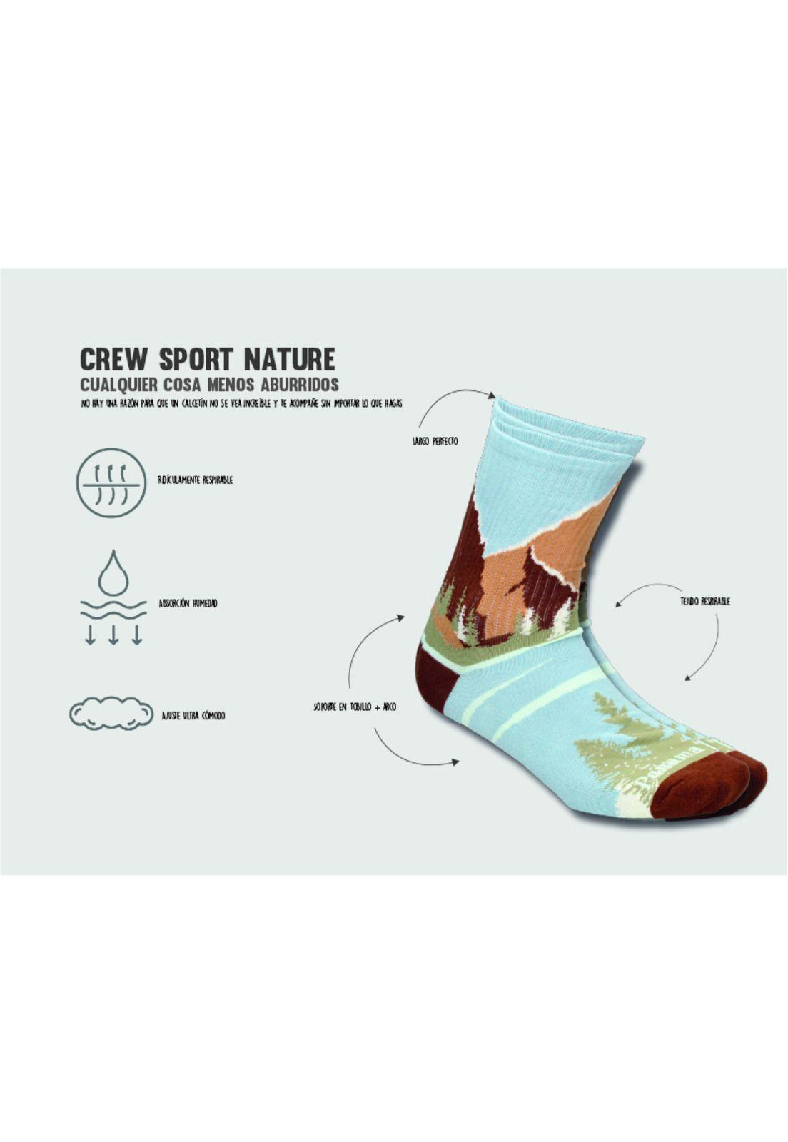 Calcetín algodón Print CP5 Panama Jack-6