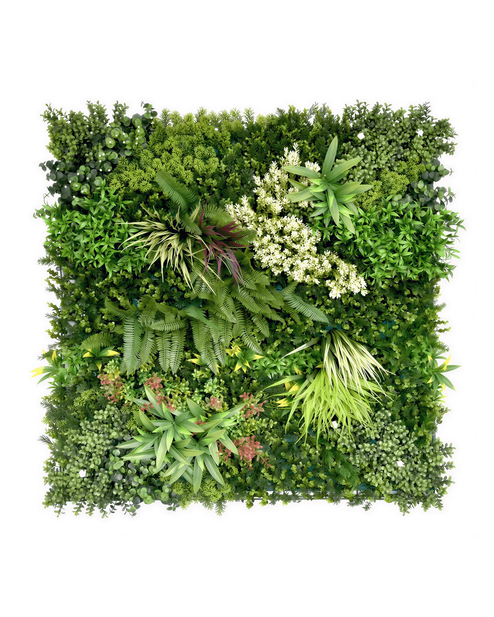 JARDIN VERTICAL 50X50 CM OASIS SILVESTRE 03 (OASIS) - MARVY-1