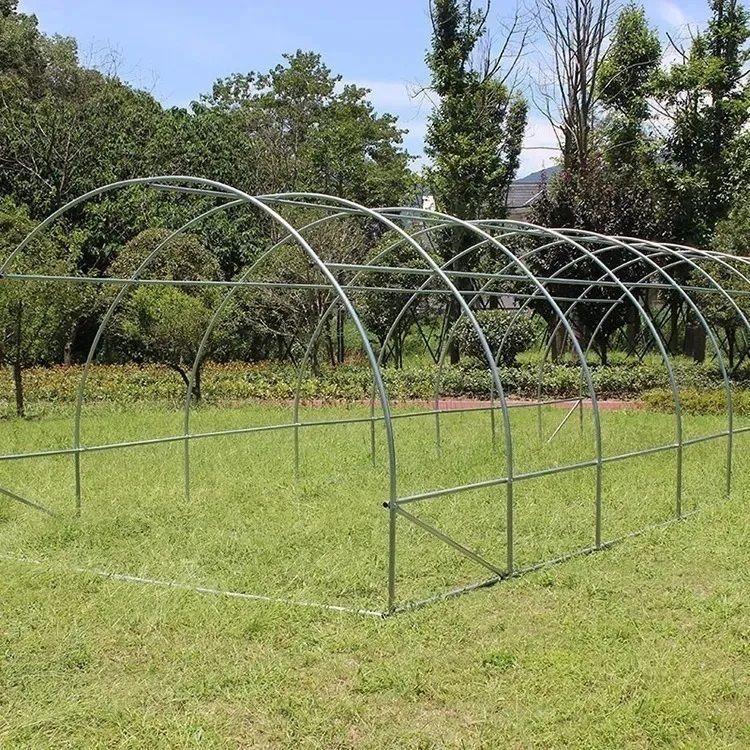 Invernadero Armable Tunel 24m² 8x3x2mts-2