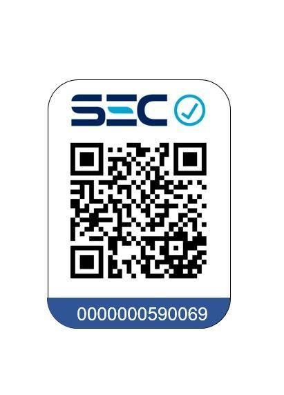 Secador de pelo profesional Motor AC-3