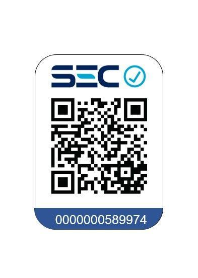 Secador de pelo profesional Motor BLDC Eco Inteligente-5