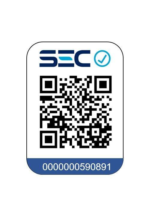 Secador de pelo profesional Premium Eco Inteligente-6