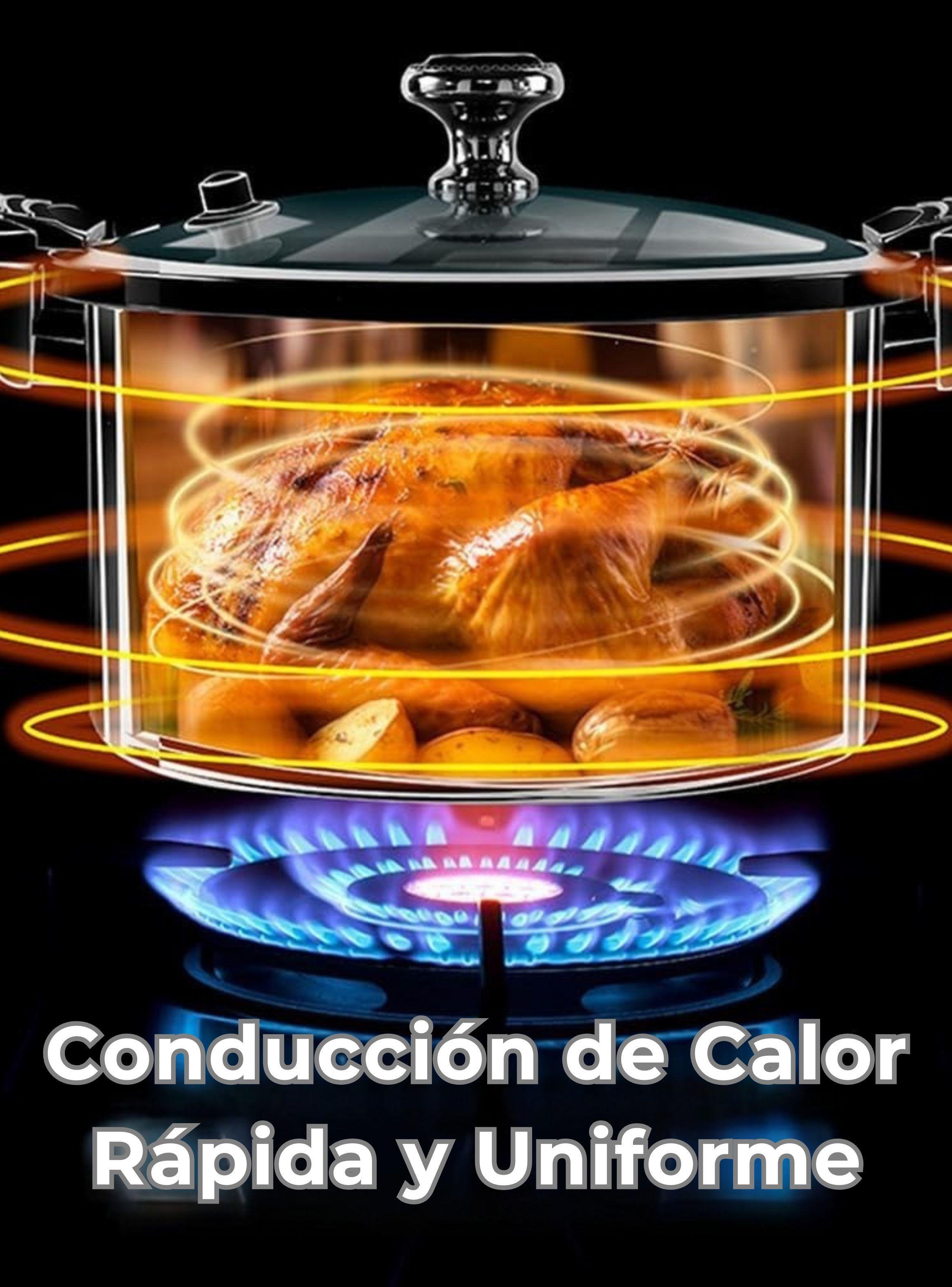 Olla de Micro Presión Esmalte Antiadherente Capacidad 10 Litros Color Azul-3