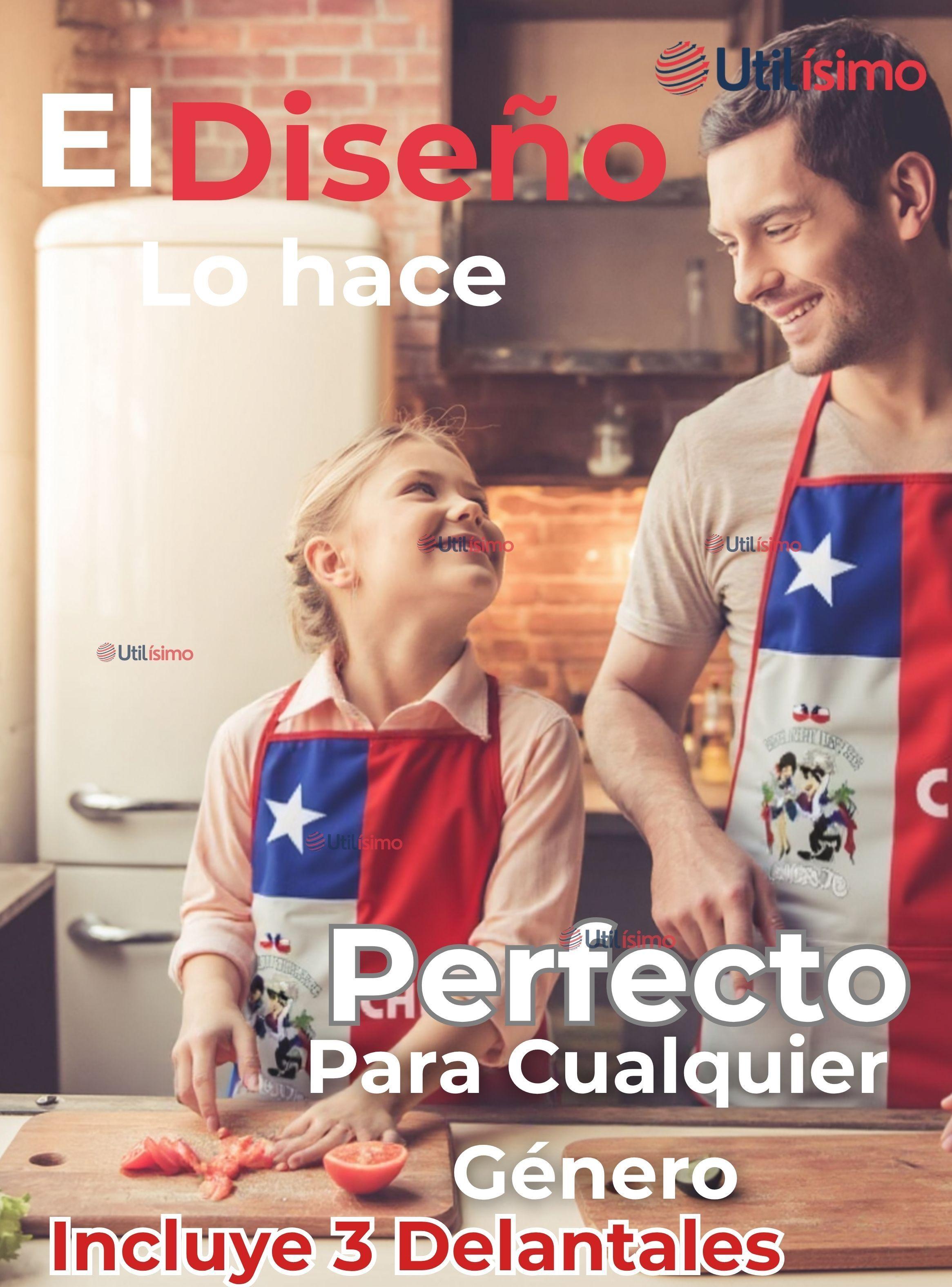  Pack 3 Delantal Cocina Chile Fiestas Patrias Bandera Chilena 60X90 CM Condorito-4