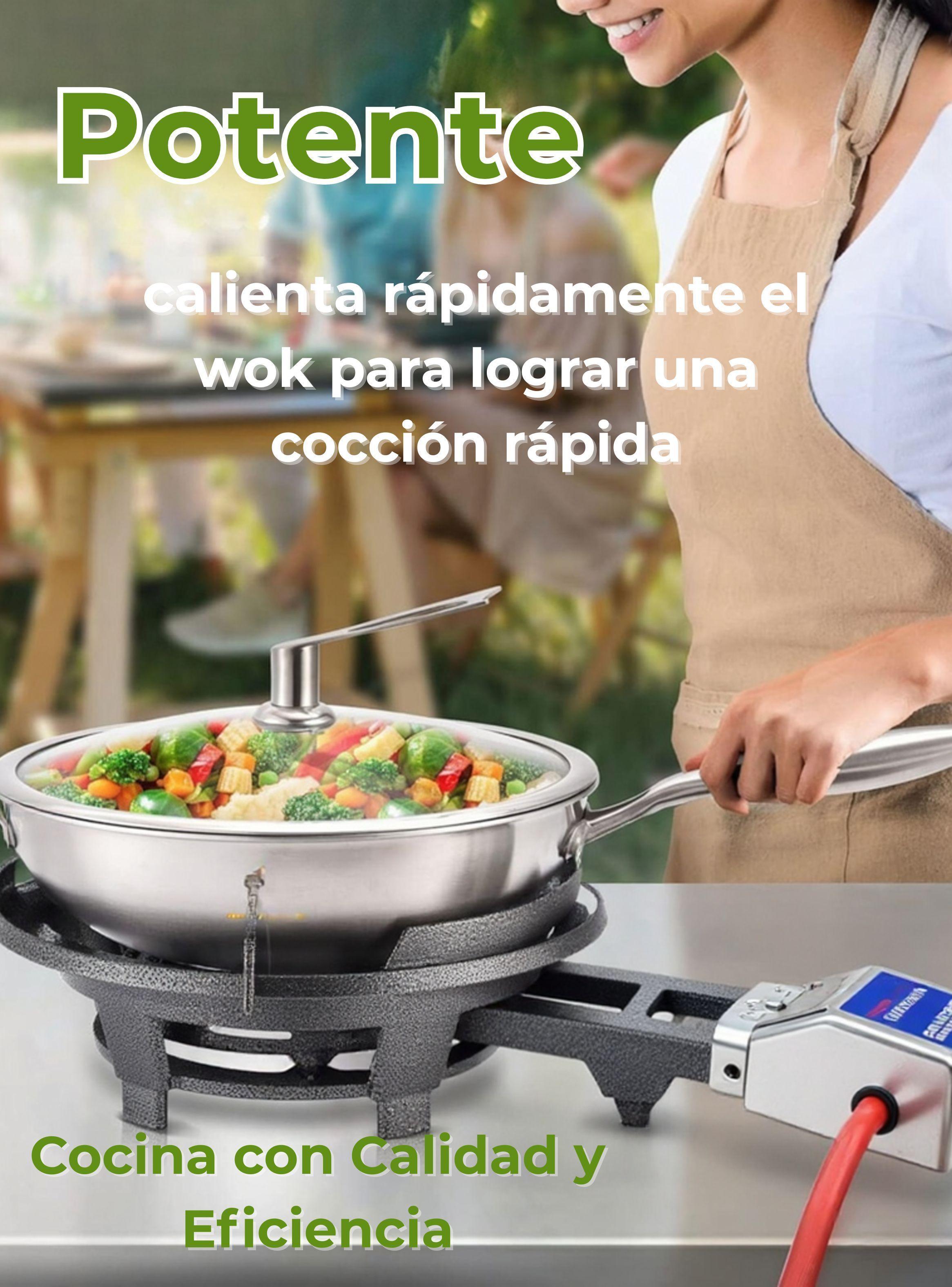 Fogón Cocina Portátil A Gas 1 Plato Camping Hogar-4