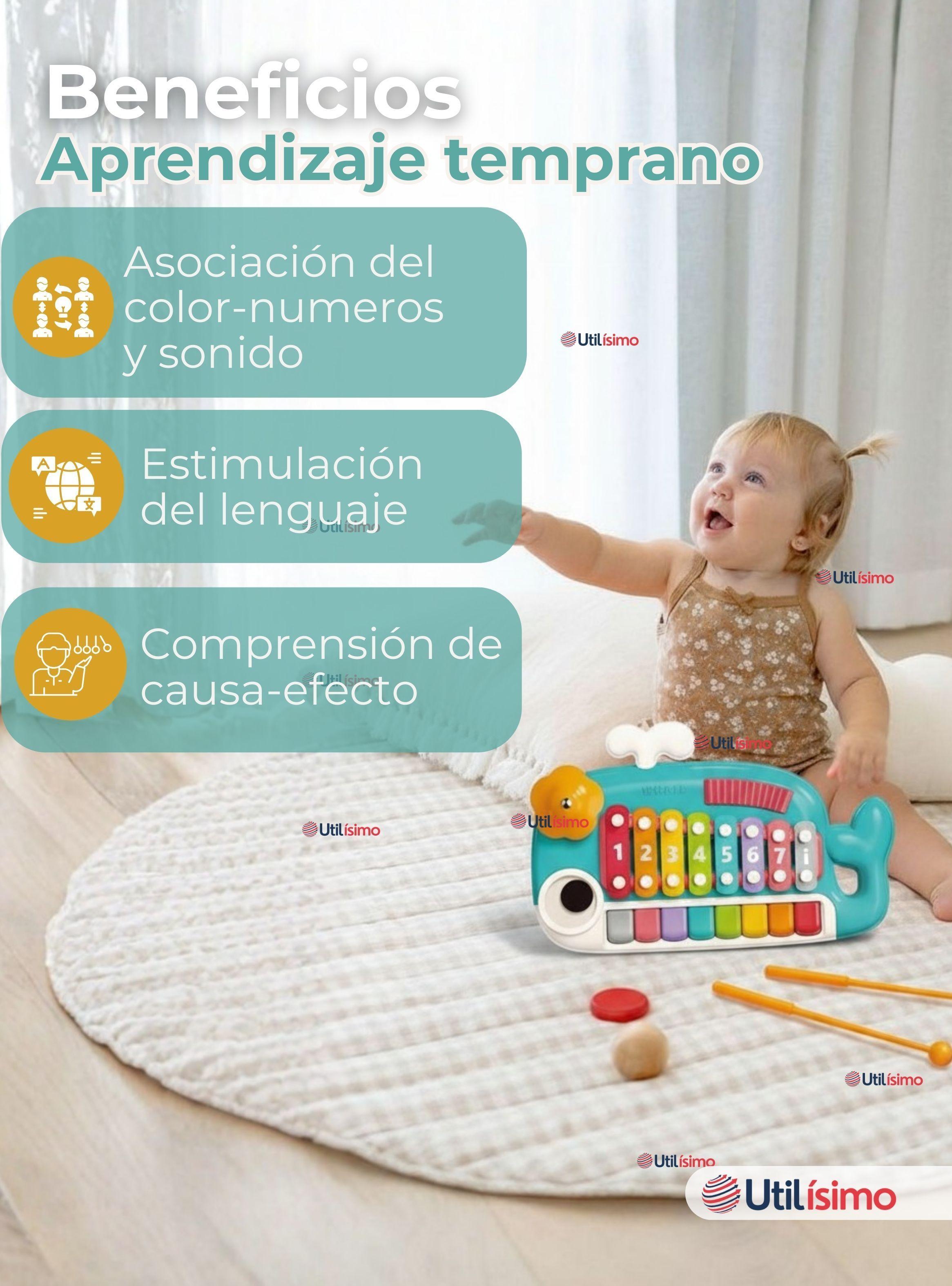 Juguete Xilófono Piano 5 en 1 para Niña o Niño Interactivo Notas Multicolor-4